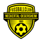 FC Neckertal-Degersheim 1